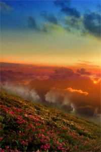 星河潋滟了夜色最新