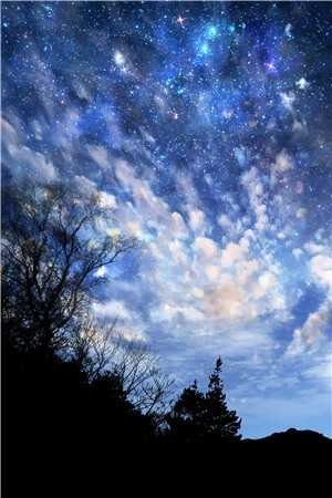 灯火阑珊，你已不在在线看