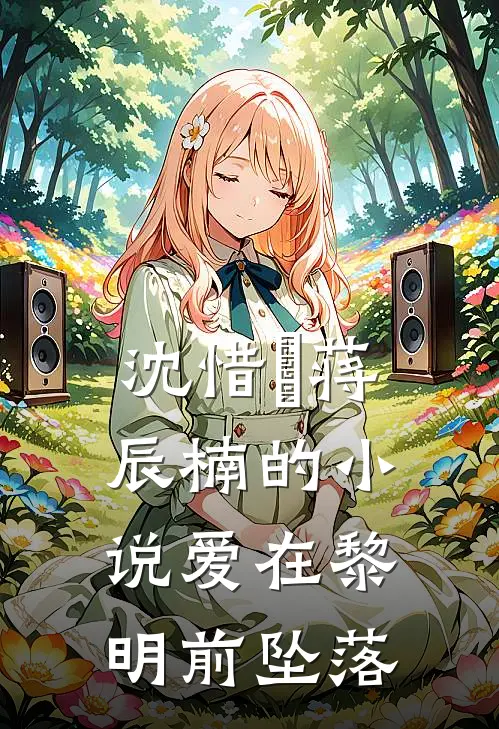 沈惜玥蒋辰楠的小说爱在黎明前坠落