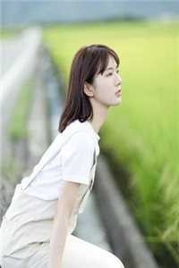 灯火阑珊，你已不在小说大结局