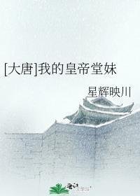 二婚玫瑰大结局免费阅读