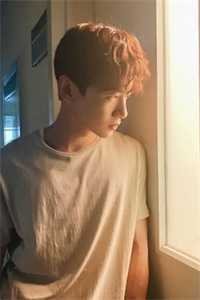 愿我如你，铮铮不折畅读