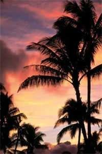 维多利亚港的告别信顾檀月周继白全文+免费