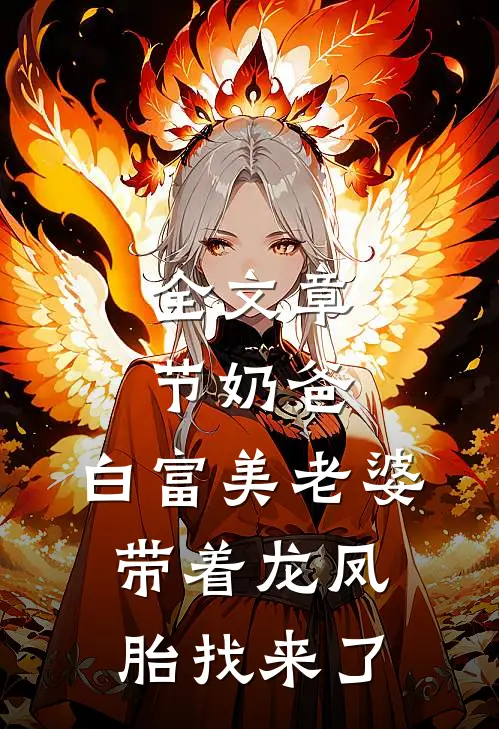 全文章节奶爸：白富美老婆带着龙凤胎找来了