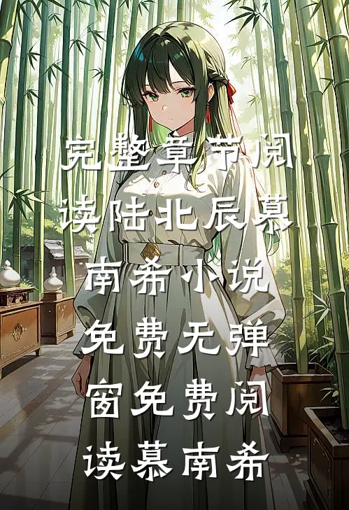 完整章节阅读陆北辰慕南希小说免费无弹窗免费阅读慕南希