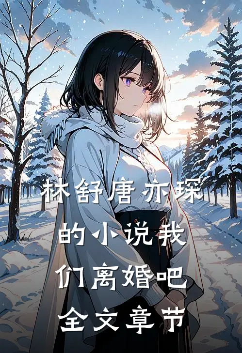 林舒唐亦琛的小说我们离婚吧全文章节