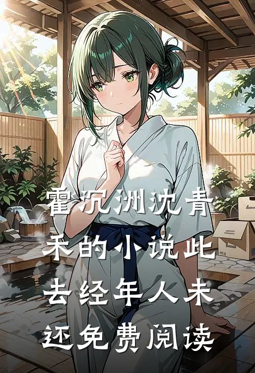 霍沉洲沈青禾的小说此去经年人未还免费阅读