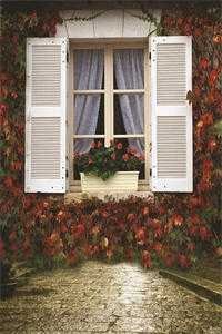 黎明夕照爆款热文