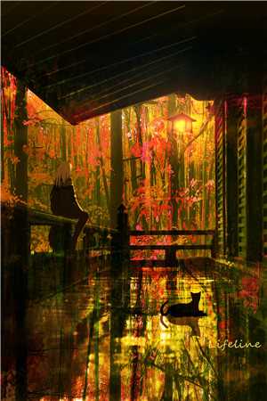 雾隐那年桥抖音