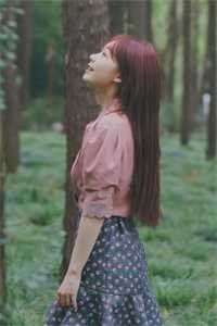 愿我如你，铮铮不折人气小说