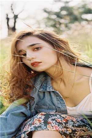 人似秋鸿来有信完整文集阅读