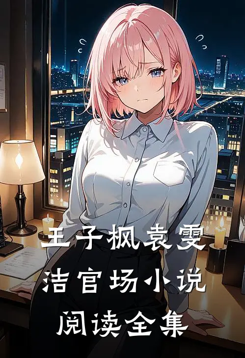 王子枫袁雯洁官场小说阅读全集