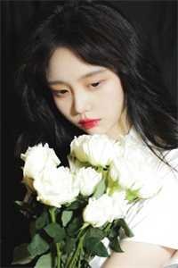 黎明夕照精品推荐