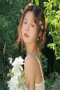 昨夜星辰昨夜风优质全文阅读